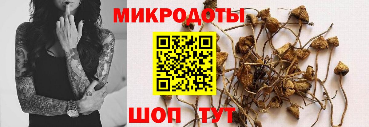 Псилоцибиновые грибы мухоморы Чебоксары
